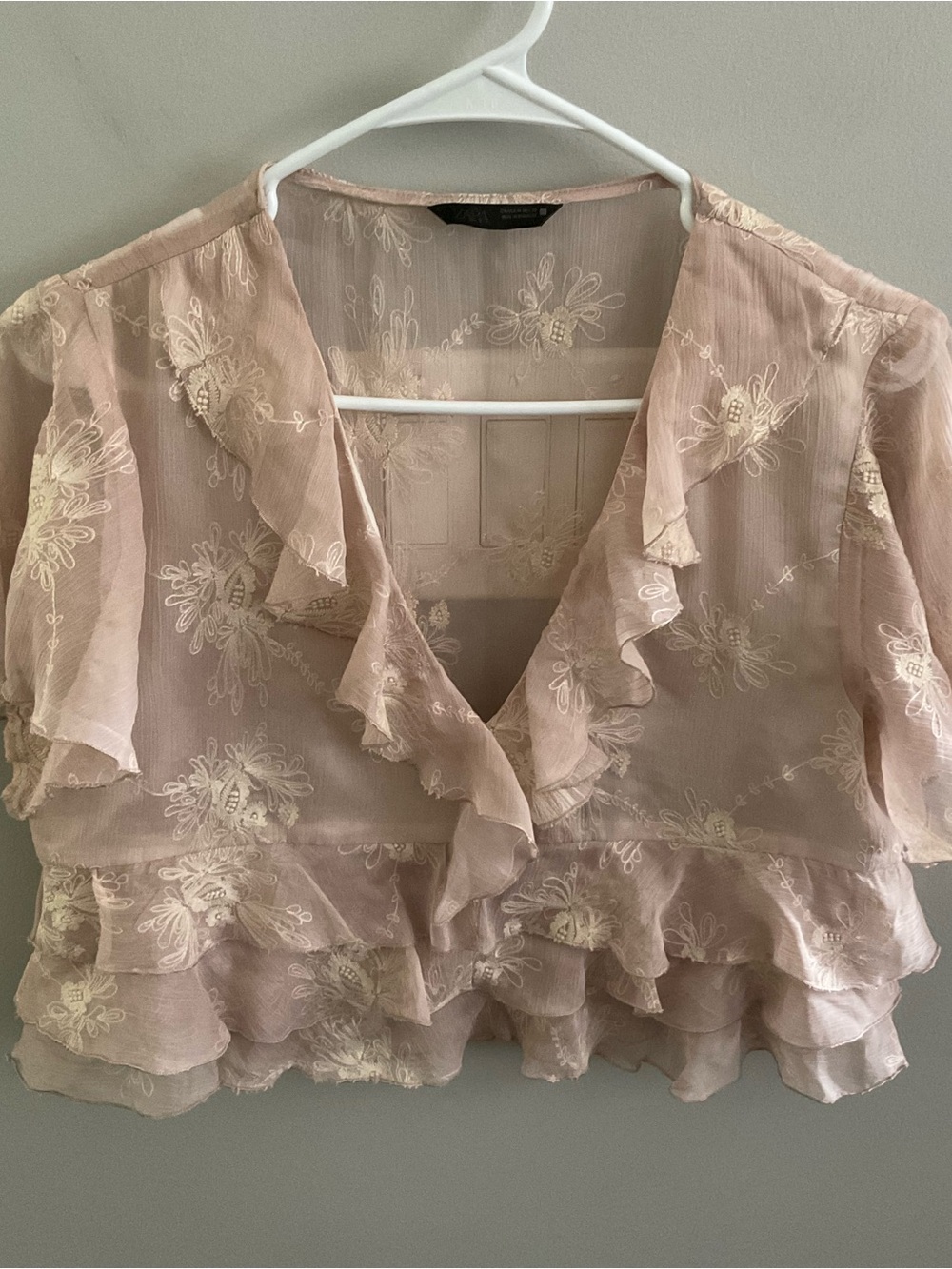 Soft Pink Ruffled Sheer Zara V-neck Blouse